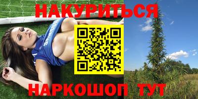 стафф Дубна