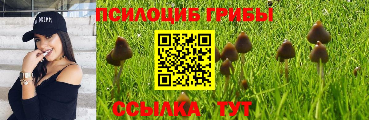 Мичуринск  Псилоцибиновые грибы Magic Shrooms  Вход с VPN 